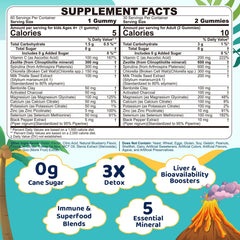 EnvyCure Zeolite Detox Gummies packshot showing sugar-free, spirulina-powered formula