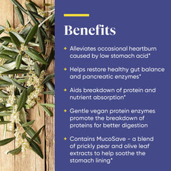 Enzymedica Betaine HCl olive leaf extract on label suggests natural digestive buffering.