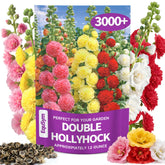 EquSym hollyhock seeds bulk pack for dense fence-line blooms and color