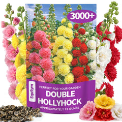 EquSym hollyhock seeds bulk pack for dense fence-line blooms and color
