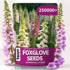 EquSym foxglove seeds bulk pack for borders boosts garden color and bulk planting options.