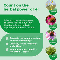 ESBERITOX wild indigo root visual emphasizing plant-based wellness