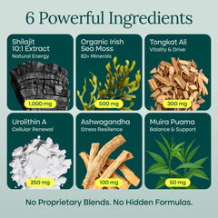 Etta Vita Urolithin-A Complex capsules show a vegan, multi-botanical energy blend.