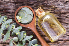 EuroSpa Aromatics Pure Eucalyptus Oil Steam room diffuser setup creates invigorating air.