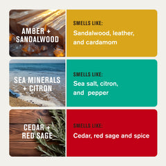 Every Man Jack Cedar-Red-Sage deodorant tube for rugged fragrance and all-day confidence.