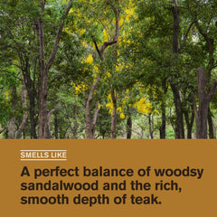 Amber-vanilla scent visible on Every Man Jack Sandalwood Beard Oil bottle.