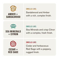 Every Man Jack Sea Minerals Citron bottle delivering fresh uplifting wash