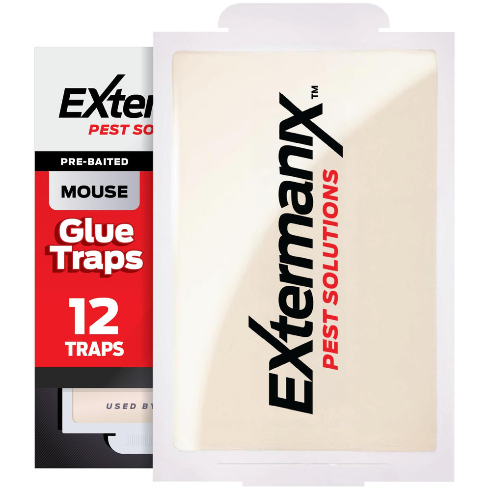 Extermanix mouse trap pack with strong adhesive, ready for home use.