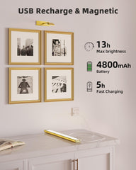 EZVALO light tilts 90 degrees for flexible spotlighting of art.