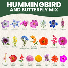 Family Sown Hummingbird Butterfly Mix garden border blooms for visual appeal.