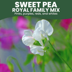 FAMILY SOWN seeds in a 5-gram freshness pouch for 2026 season