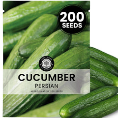 Family Sown Persian cucumber seeds pack offers 200 seeds for reliable germination.
