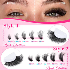 FANXITON lash seal liquid keeps dust out during wear.