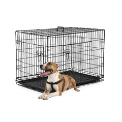 FDW dog crate with double doors for easy front access and safe locks.