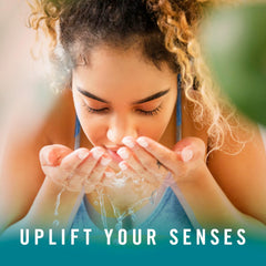 Febreze Fade Defy refill pack showing 4 scented oil refills for ongoing scent
