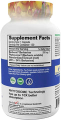 Feel Good Superfoods Berberine Phytosome pour demonstrates convenient on-the-go supplementation.