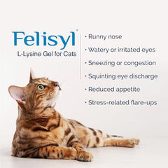 Felisyl L-Lysine Gel on cat dish for effortless feeding.