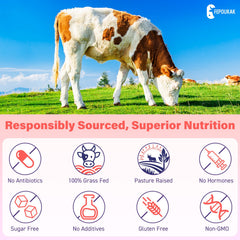 Fepoukak reishi mushroom extract image suggesting energy and vitality