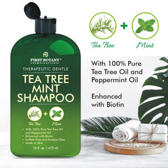 First Botany Tea Tree Mint Conditioner bottle for deep conditioning and detangling.