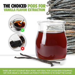 FITNCLEAN bourbon-conditioned pods for deeper vanilla aroma in recipes