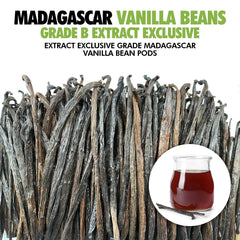 FITNCLEAN Grade B Madagascar beans offer richer aroma for extraction