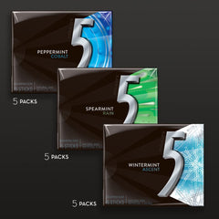 5 GUM Sugar-free bulk pack offers affordable minty moments without sugar.