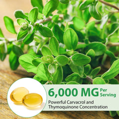 Flasture Oil of Oregano Softgels capsules closeup highlights black seed oil addition.