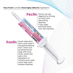 FLORA-PECTIN probiotic blend illustration emphasizes gut-supporting bacteria for balanced digestion