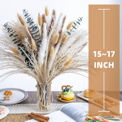 FloraDream pampas grass dried flowers for long-lasting decor.