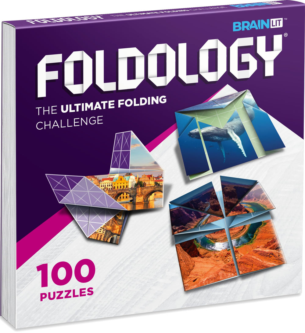 Foldology origami puzzle cover with vibrant designs for family-friendly fun.