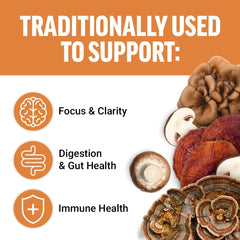 Force Factor Modern Mushrooms label close-up highlighting seven-mushroom blend for focus support.