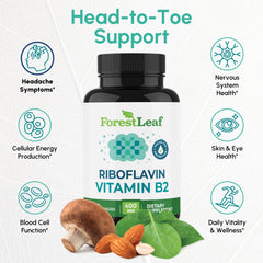 ForestLeaf B2 capsules close-up highlighting vegetarian, non-GMO formula for steady vitality.