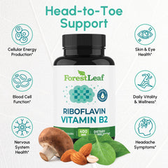 ForestLeaf B2 riboflavin 400mg capsule focuses on energy metabolism for daily activity.