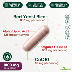 ForestLeaf capsules arranged in rows for easy daily dosage.