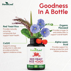 ForestLeaf CoQ10 close-up signaling potential energy support.
