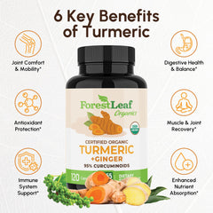 ForestLeaf turmeric capsules close-up emphasizing high-potency curcumin.