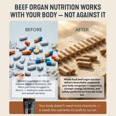FORGEMEN FORGEBODY pancreas capsule, desiccated organ nutrition for balanced daily intake.