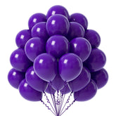 FOTIOMRG dark purple balloons 12 inch pack ready for festive decor