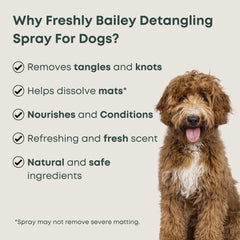 Freshly Bailey mist on a doodle coat for smoother knots and shine.
