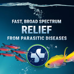 ParaCleanse dosing packets shown for precise administration in both fresh and saltwater tanks