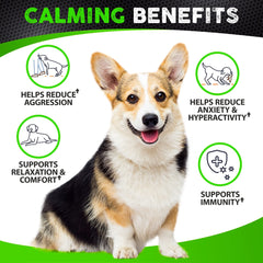 FURALAND hemp calming chews bottle image highlights chicken flavor and easy dosing for dogs.