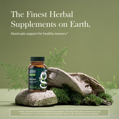 Gaia Herbs Bacopa bottle label closeup, highlighting traditional herbal roots for memory support.
