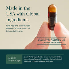 Organic kelp and brown seaweed from Ireland, supporting iodine-containing nutrition.