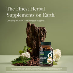 Gaia Herbs Lion's Mane capsule close-up showing capsules