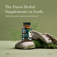 Close-up of Gaia Maca Root capsules showing gelatinized formula