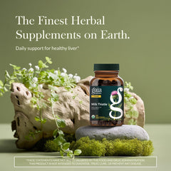 Gaia Herbs Milk Thistle capsules closeup highlighting full-spectrum extract.