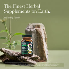 Gaia Herbs Quick Defense label close-up highlighting echinacea