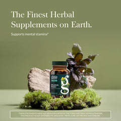 Gaia Herbs Rhodiola Rosea bottle back highlights vegan capsules and quality commitment