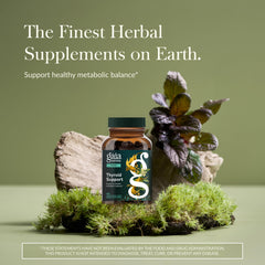 Gaia Thyroid Support kelp and brown seaweed bottle highlights iodine-rich ingredients