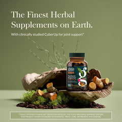 Gaia Herbs Turmeric Supreme capsules highlighting CuberUp and turmeric extracts.